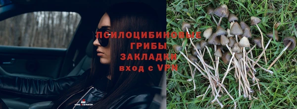 винт Карабаш