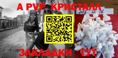 шишки Кандалакша