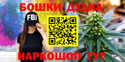 шишки Кандалакша