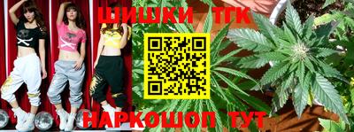 шишки Кандалакша