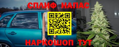 шишки Кандалакша