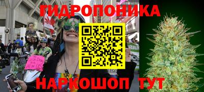 шишки Кандалакша