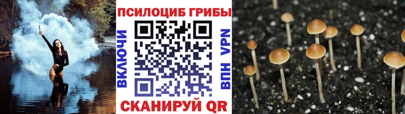 цены Ялта Галлюциногенные грибы ЛСД