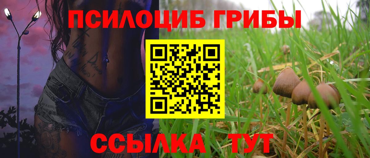 Псилоцибиновые грибы Psilocybe Ялта