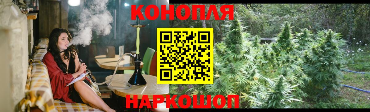 Канабис конопля Ялта